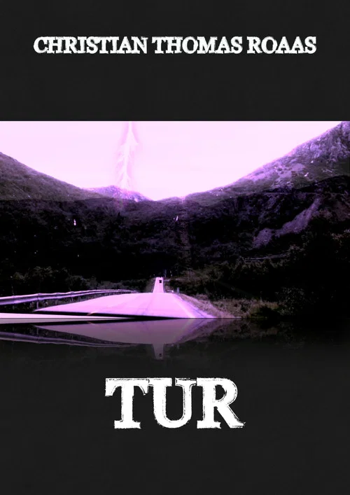 Movie poster for Trip (2013)