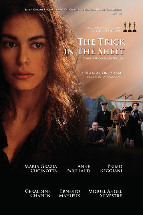 Movie poster for L'imbroglio nel lenzuolo (2010)