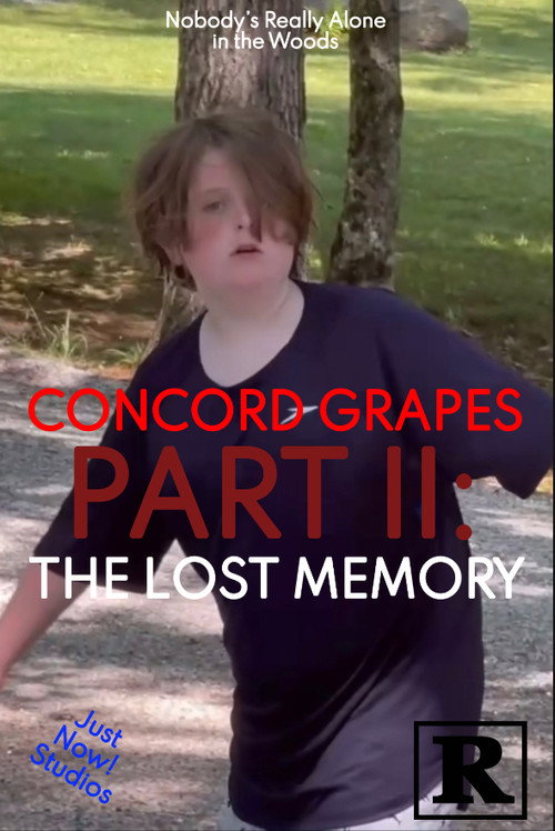 Movie poster for Concord Grapes Part II: The Lost Memory (2024)