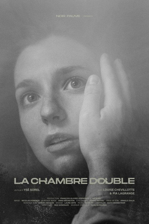 Movie poster for Double Room (2022)