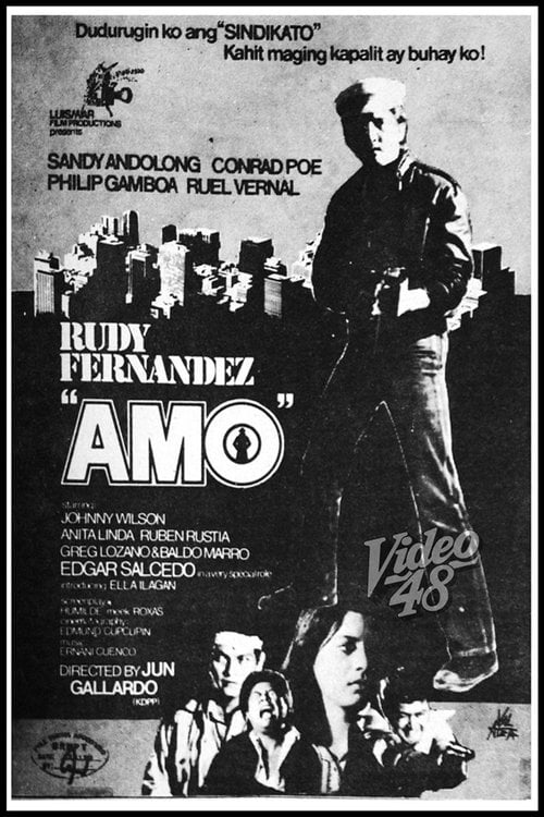 Movie poster for Amo (1982)