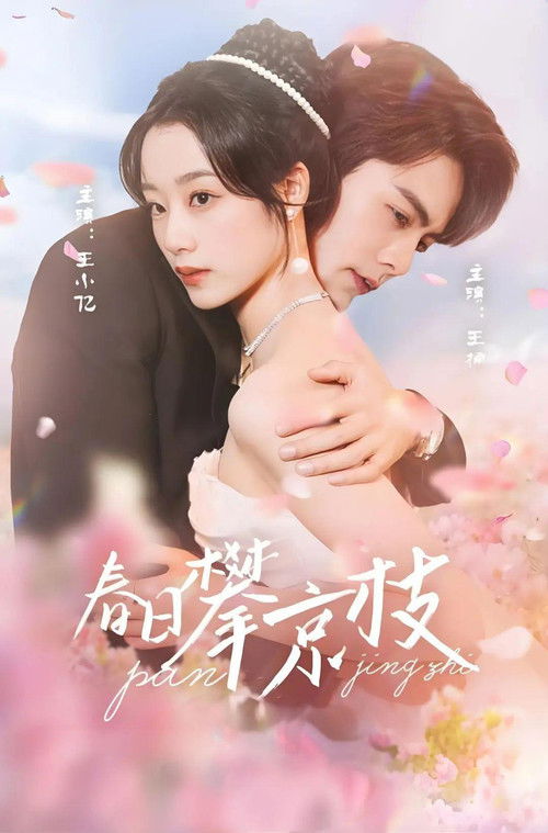 春日攀京枝 poster