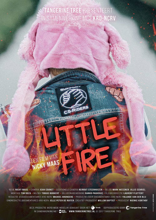 Movie poster for Little Fire (2017)