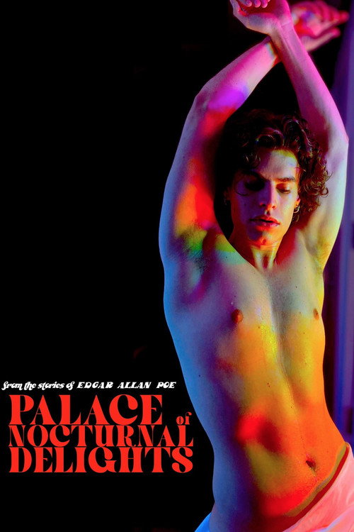 Movie poster for Palace of Nocturnal Delights (2024)