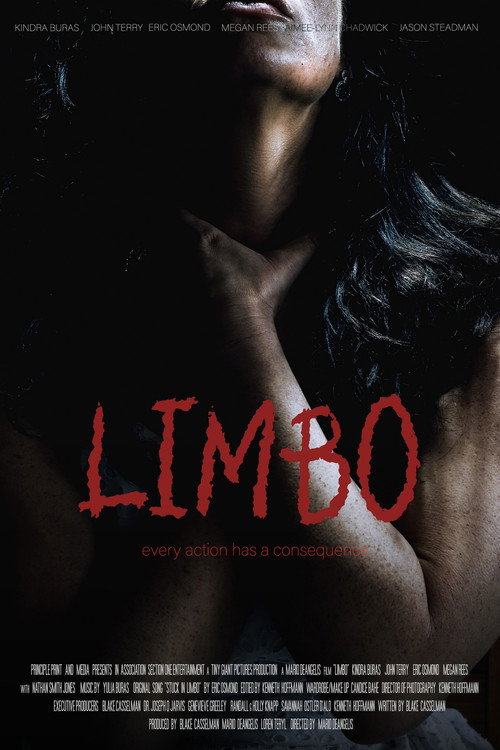 Movie poster for Limbo (2024)
