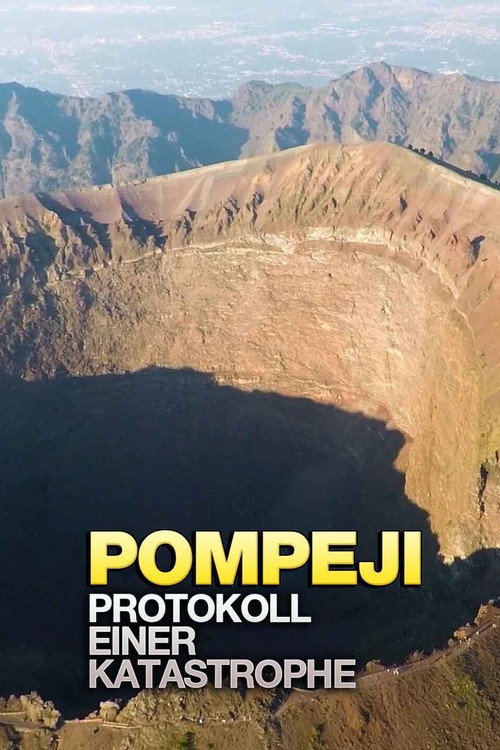 Movie poster for Le récit d’une catastrophe: Pompéi (2020)