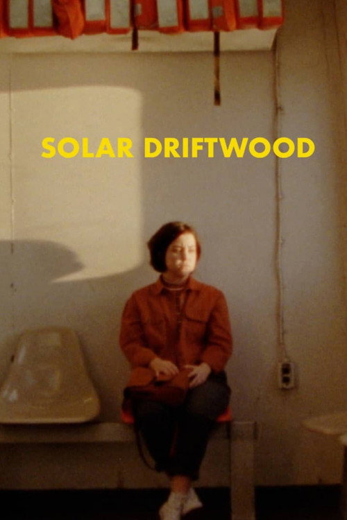 Movie poster for Solar Driftwood (2020)