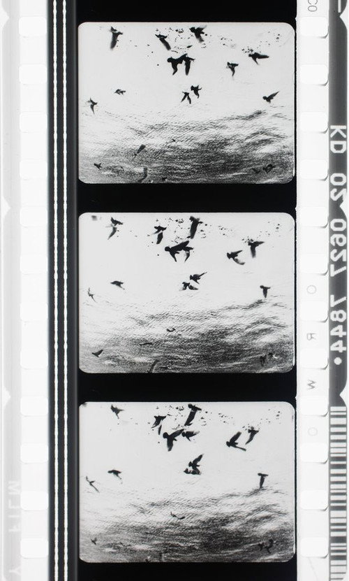 Movie poster for Images en négatif (1955)