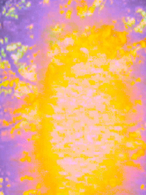 Movie poster for Dream (2000)