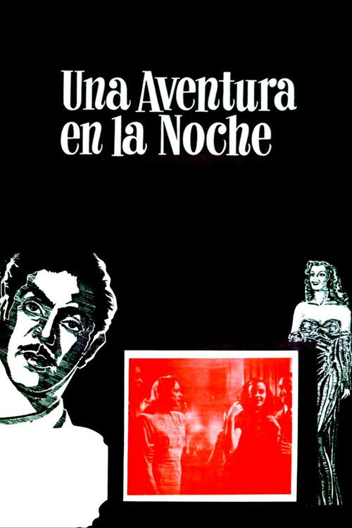 Movie poster for An Adventure in the Night (1948)