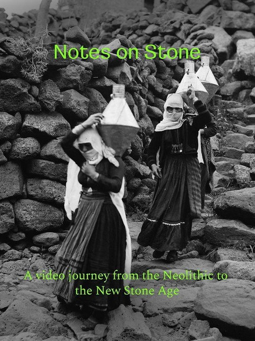 Movie poster for Notes on Stone