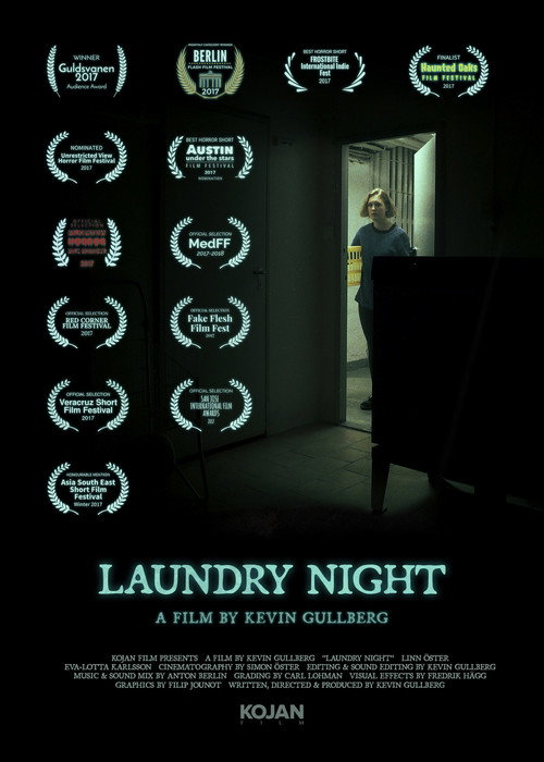 Movie poster for Laundry Night