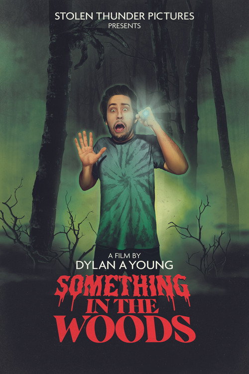 Movie poster for Something in the Woods