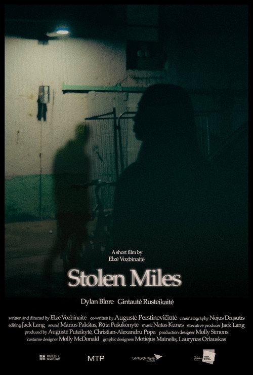 Movie poster for Stolen Miles (2024)