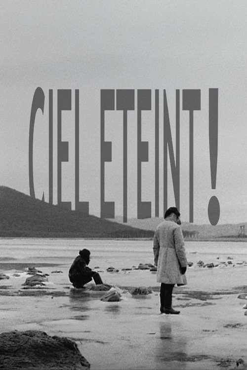 Movie poster for Ciel éteint ! (2008)