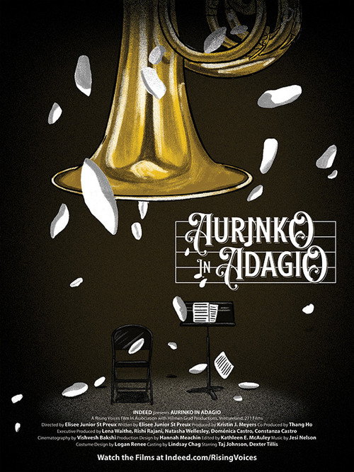 Movie poster for Aurinko in Adagio (2021)