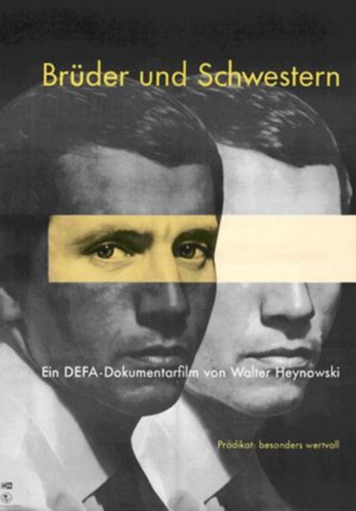 Movie poster for Brothers and Sisters (1963)