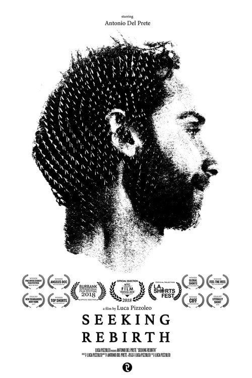 Movie poster for Seeking Rebirth (2017)