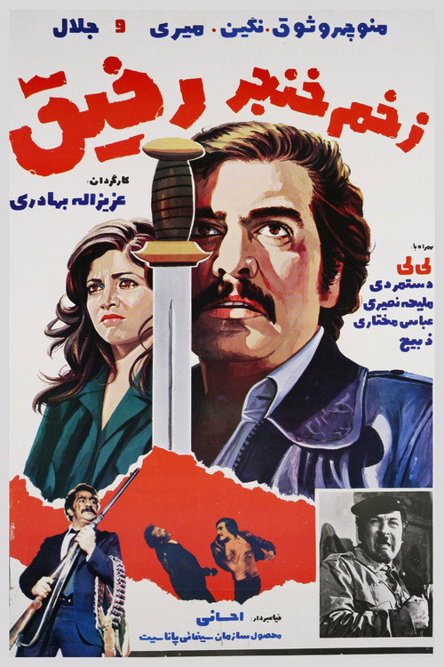 Movie poster for The Wound from a Friend (1978)