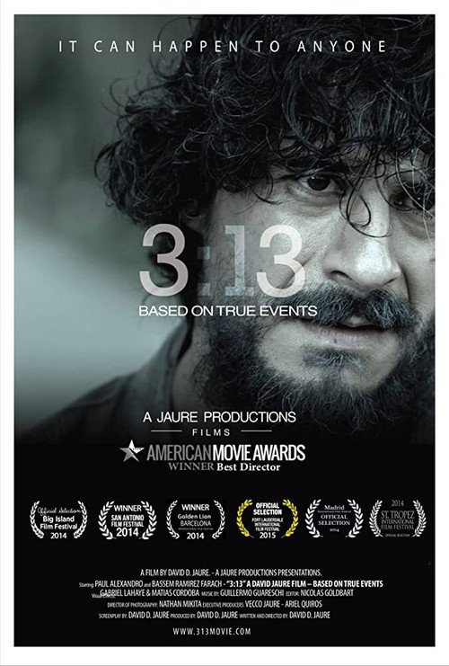 Movie poster for 3:13 (2015)
