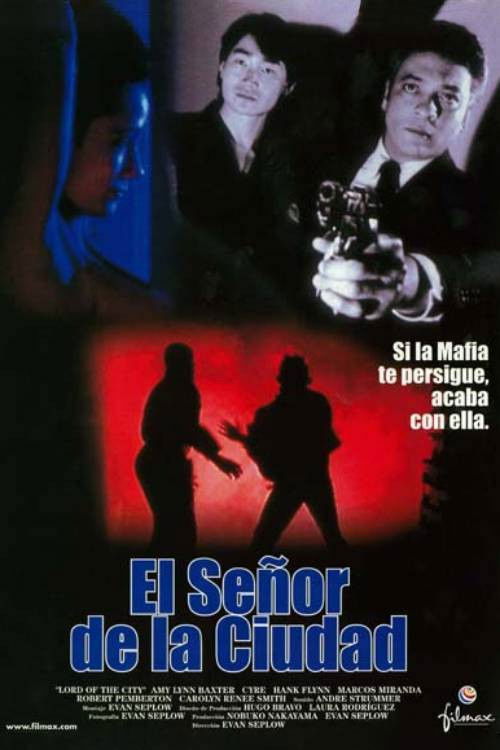 Movie poster for Lord of the City (1997)