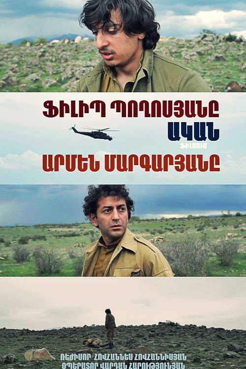 Movie poster for Landmine (2016)