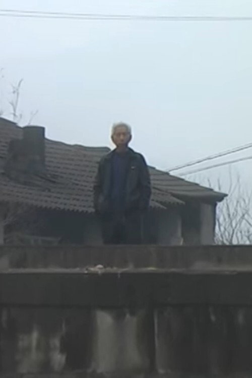 Movie poster for Revolution in Baiyun Village (2012)