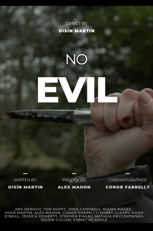 Movie poster for No Evil (2022)