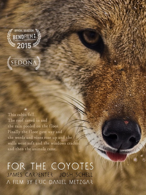 Movie poster for For the Coyotes (2015)