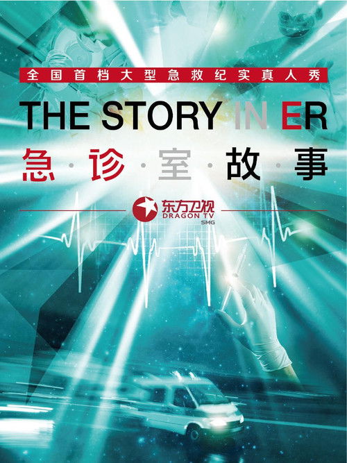 The Story in ER poster