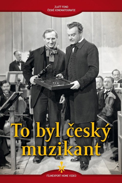 To byl český muzikant poster