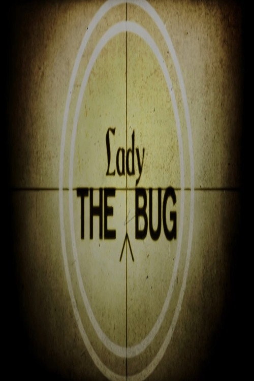 Movie poster for The Lady Bug (2007)