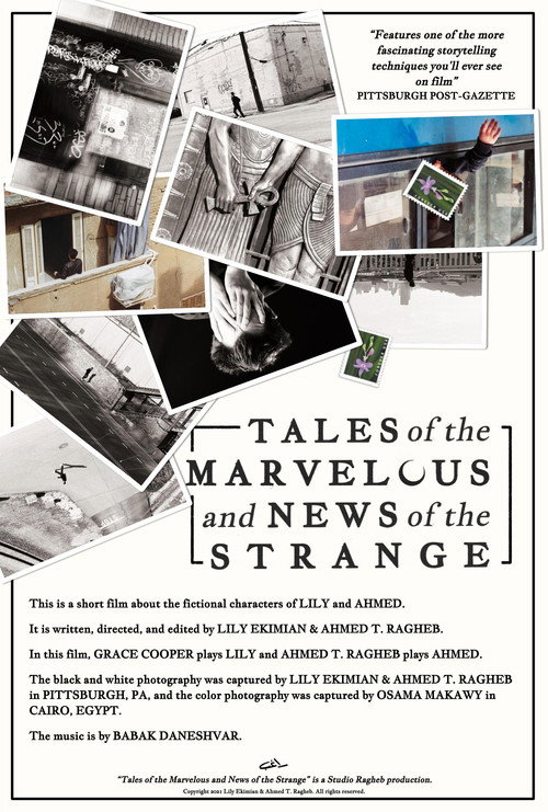 Movie poster for Tales of the Marvelous and News of the Strange (2021)