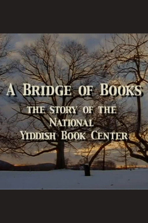 Movie poster for A Bridge of Books (2001)