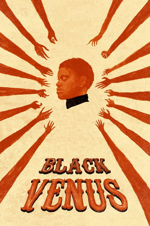 Movie poster for Black Venus (2010)