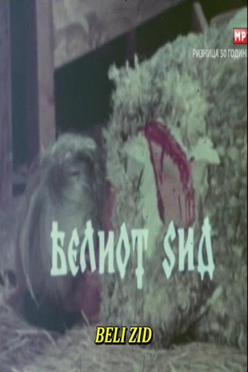 Movie poster for The White Wall (1978)