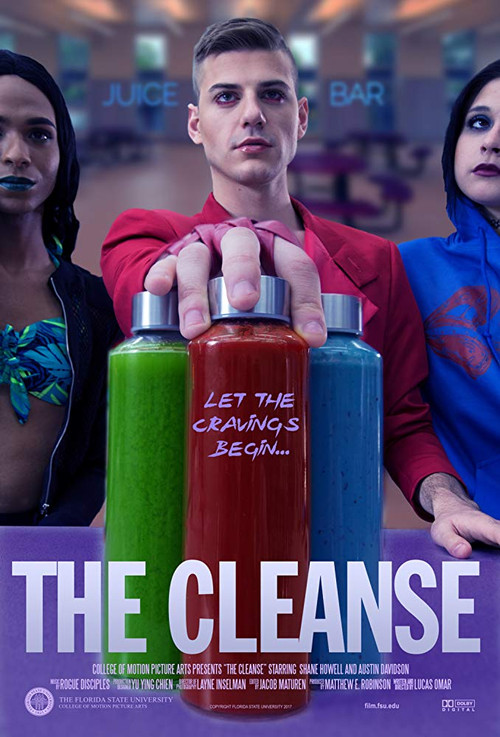 Movie poster for The Cleanse (2018)