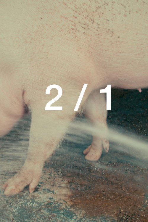 Movie poster for 2/1 (2024)