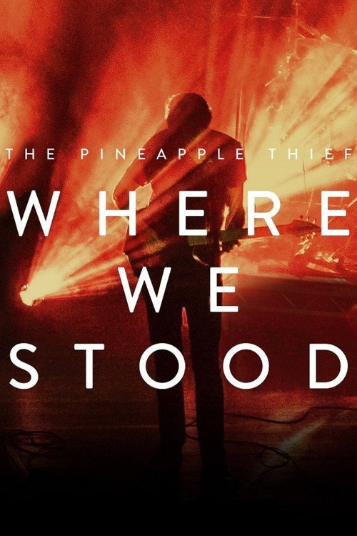 Movie poster for The Pineapple Thief: Where We Stood (2017)