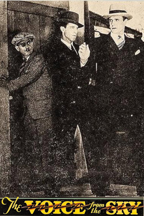 Movie poster for The Voice from the Sky (1929)