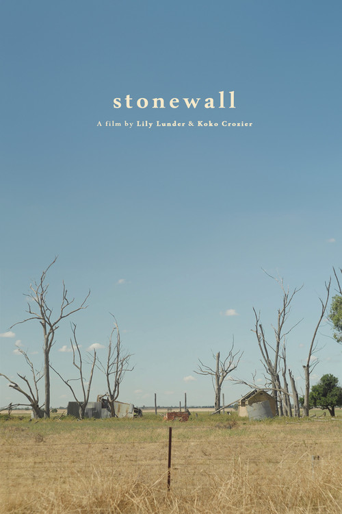 Movie poster for stonewall