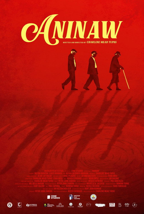 Movie poster for Aninaw (2024)