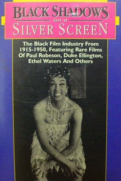 Movie poster for Black Shadows on a Silver Screen (1975)