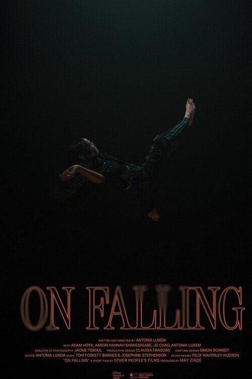 Movie poster for On Falling (2024)