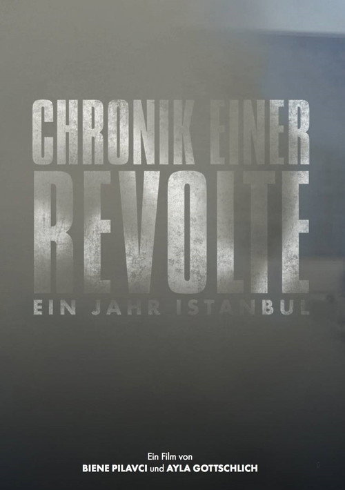 Movie poster for Chronicle of a Revolt: One Year Istanbul (2015)