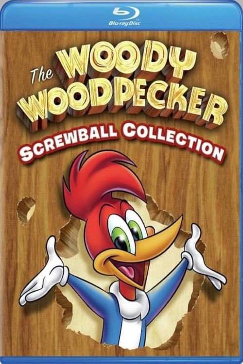Movie poster for Woody Woodpecker: The Screwball Collection