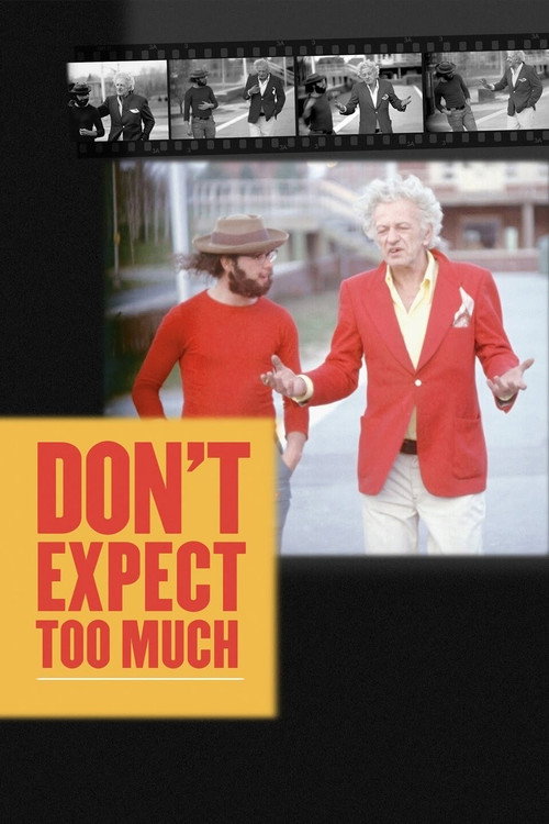 Movie poster for Don't Expect Too Much (2011)