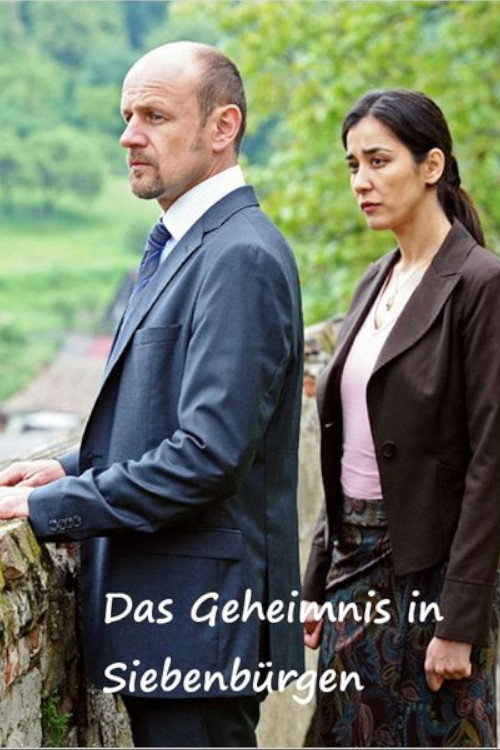 Movie poster for Das Geheimnis in Siebenbürgen (2012)