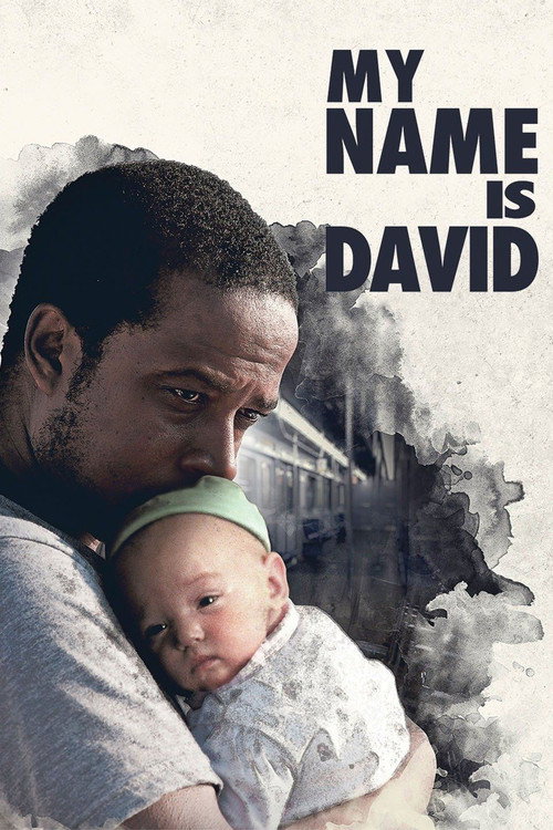 Movie poster for My Name Is David (2015)