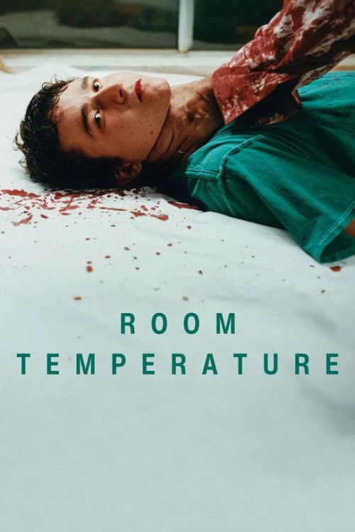 Movie poster for Room Temperature (2025)